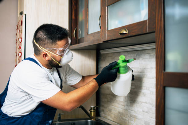 Best Termite Control Services  in Avenal, CA