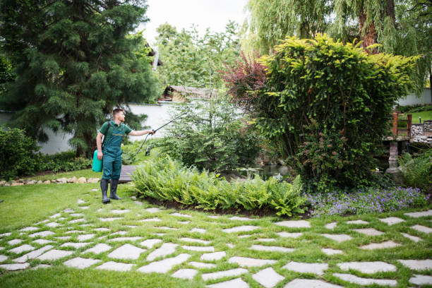Best Best Pest Control Near Me  in Avenal, CA