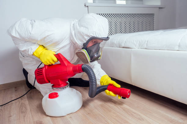 Best Flea Control Services  in Avenal, CA
