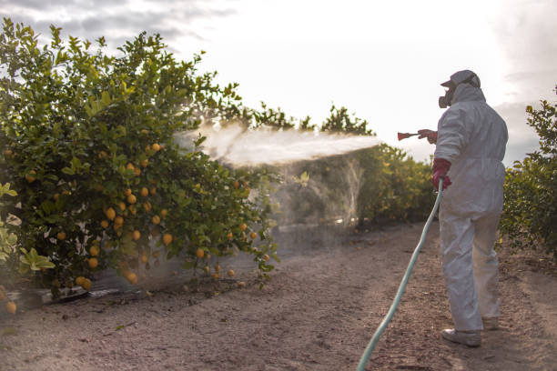 Best Pest Removal Services  in Avenal, CA