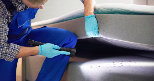 Best Affordable Pest Control Services  in Avenal, CA
