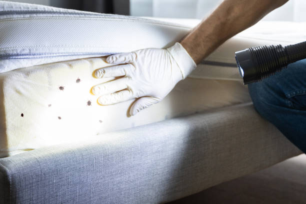 Best Wildlife Control Services  in Avenal, CA