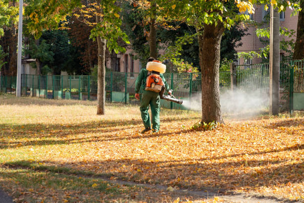 Best Wasp Removal Services  in Avenal, CA